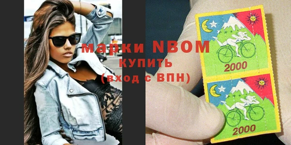 тгк Пересвет