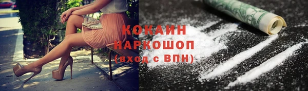 тгк Пересвет