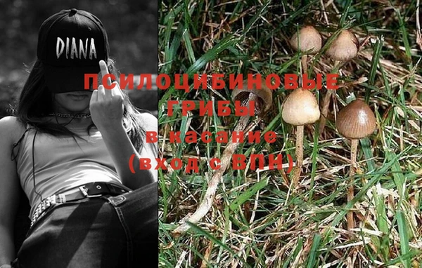 экстази Пестово